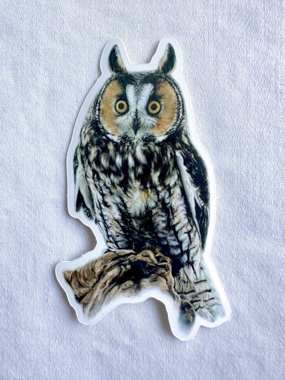 Long Eared Owl Painting Sticker, Vinyl, 1.7"x 3", Dishwasher Safe