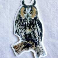 Long Eared Owl Painting Sticker, Vinyl, 1.7"x 3", Dishwasher Safe