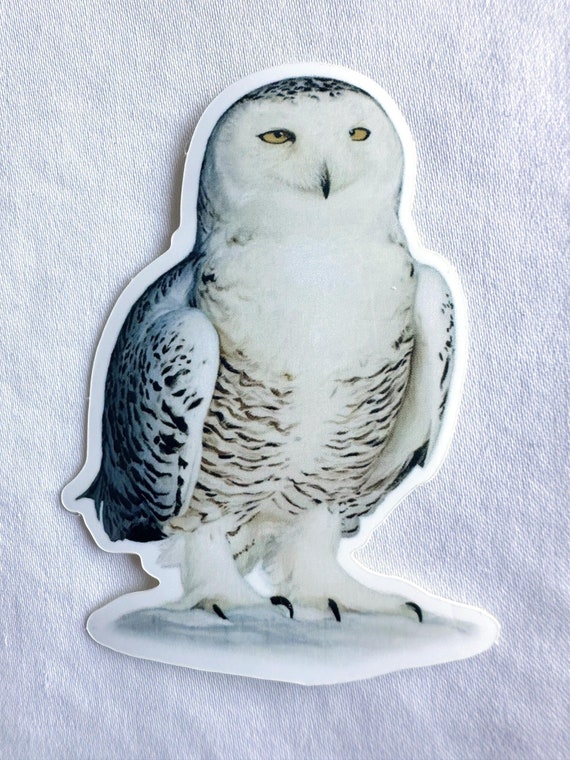 Snowy Owl Painting Sticker, Hedwig Sticker, Vinyl, 2"x 3", Dishwasher Safe