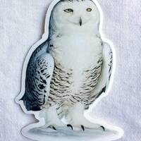 Snowy Owl Painting Sticker, Hedwig Sticker, Vinyl, 2"x 3", Dishwasher Safe