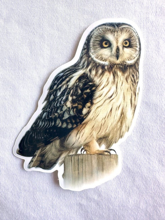 Short Eared Owl Painting Sticker, Vinyl, 2.3"x 3", Dishwasher Safe