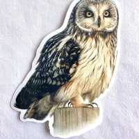 Short Eared Owl Painting Sticker, Vinyl, 2.3"x 3", Dishwasher Safe