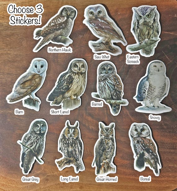 Choose Your Own 3 Owl Painting Stickers, Vinyl, Dishwasher Safe