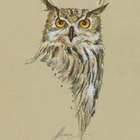 Eagle Owl Painting,ORIGINAL Watercolor Painting, Bird Drawing,  Gift for Bird Lovers,  Bird ...