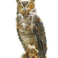 Owl Art, Creat Horned Owl Painting, Art Print of Original Artwork, Owl Art Print, Owl Portra...
