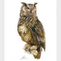 Eagle Owl Painting, Hand-painted Artwork, Owl Portrait, Bird Art,  Wildlife Painting