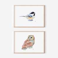 Set of Two Woodland Birds | Saw-Whet Watercolor Owl, Bird Wall Art, Chickadee Painting, Bird...