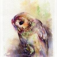 PRINT – The Owl Watercolor painting 7.5 x 11", Hand painted, owl watercolor, wood...
