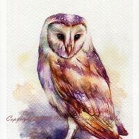 PRINT – The Owl Watercolor painting 7.5 x 11”