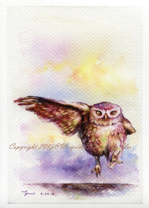 PRINT – The Owl Watercolor painting 7.5 x 11”