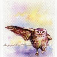 PRINT – The Owl Watercolor painting 7.5 x 11”