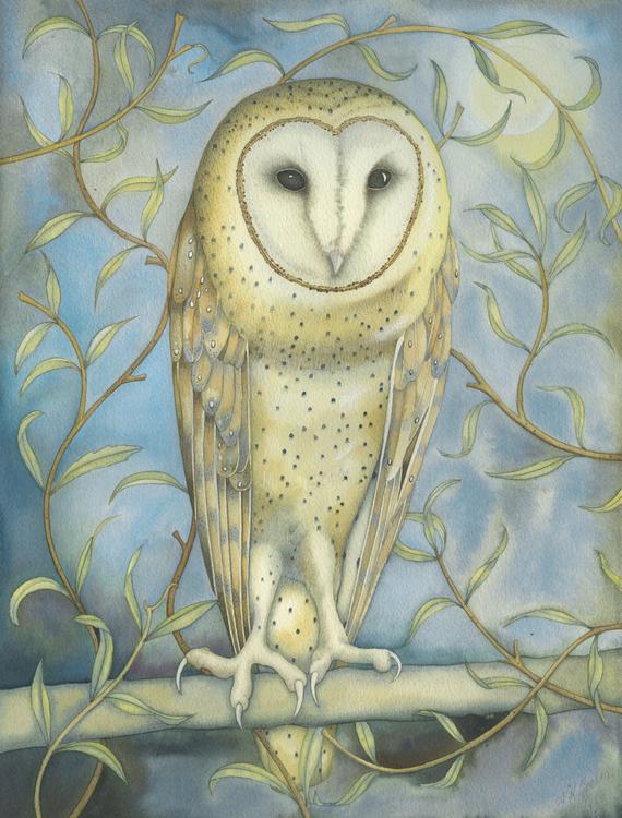 Fine art print of an original painting: 'Barn Owl Amongst the Willow'.