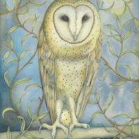 Fine art print of an original painting: 'Barn Owl Amongst the Willow'.