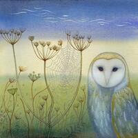 Fine art print of an original painting: 'Barn Owl and Spider's Web'.