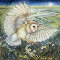 Fine art print of an original painting: 'Ghost Owl'.