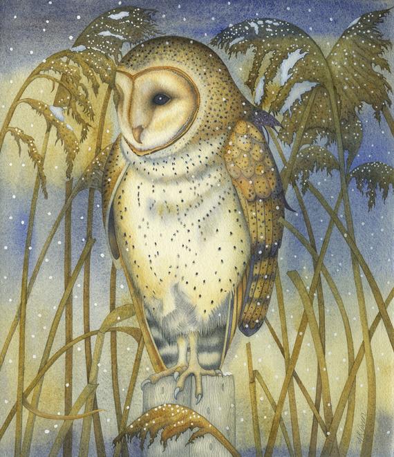 Fine art print of an original painting: 'The Tender Owl'.