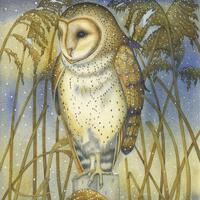 Single Greetings Card of an original painting: The Tender Owl