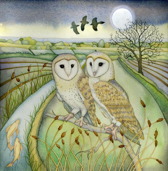 Single Greetings Card of an original painting: 'Barn Owls'.
