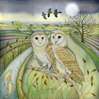 Single Greetings Card of an original painting: 'Barn Owls'.