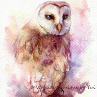 PRINT – Barn owl - Watercolor painting 7.5 x 11”