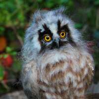 Needle Felted  Wool  Owl. Felt Owl . Owl Figurine. Baby owl.