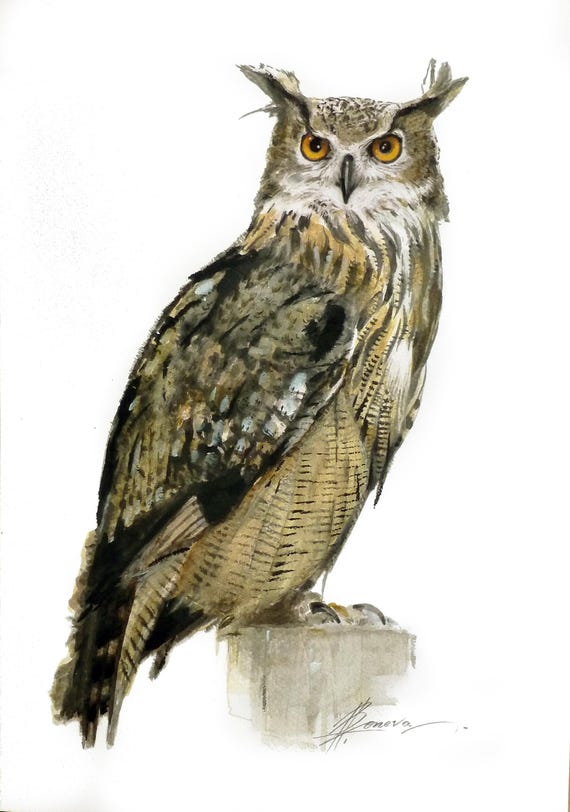 Eagle Owl Painting, Hand-painted Artwork, Owl Portrait, Bird Art,  Wildlife Painting