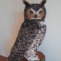 Needle felted owl, needle felted, owl decor, owl ornaments, owl sculpture, owl decorations, ...
