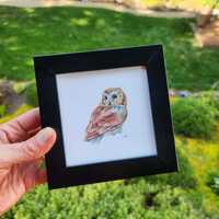 Framed Saw-whet Owl Watercolor Painting | Animal l Wall Decor, Wildlife Nature Lover Paintin...