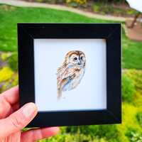 Framed Tawny Owl Print | Owl Painting, Bird Watercolor Art Print by Christy Barber, 4x4 Wall...