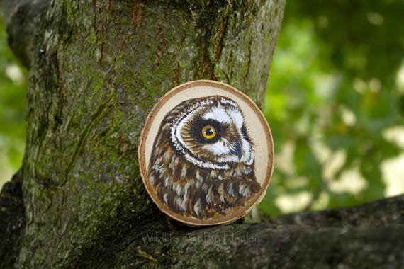 Short eared owl painting, original art on a recycled wood slice