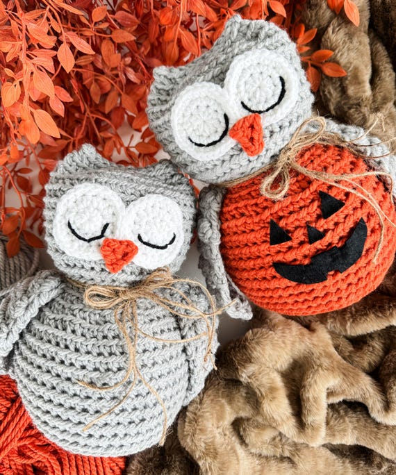 CROCHET PATTERN & VIDEO/ Woodland Ami Owl, Crochet Owl Pattern, Easy Crochet Decor, Fall Decor, Easy Amigurumi, Pdf, Halloween Crochet