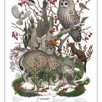 JANUARY, signed poster 18X24"