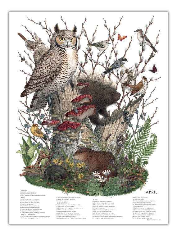 APRIL, signed poster 18X24"