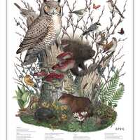 APRIL, signed poster 18X24"