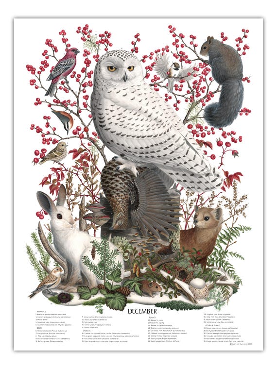 DECEMBER, signed poster 18X24"