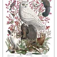 DECEMBER, signed poster 18X24"