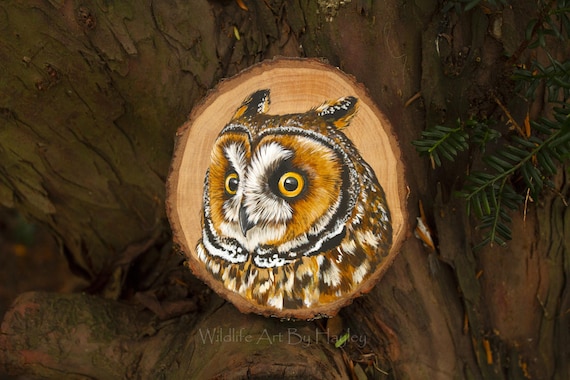 Long-eared owl, original painting on a recycled willow wood slice