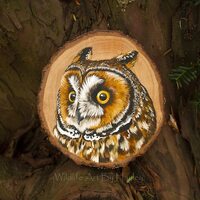 Long-eared owl, original painting on a recycled willow wood slice