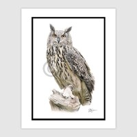 Eagle Owl - original color pencil drawing - portrait size A4 in mount - signed by artist