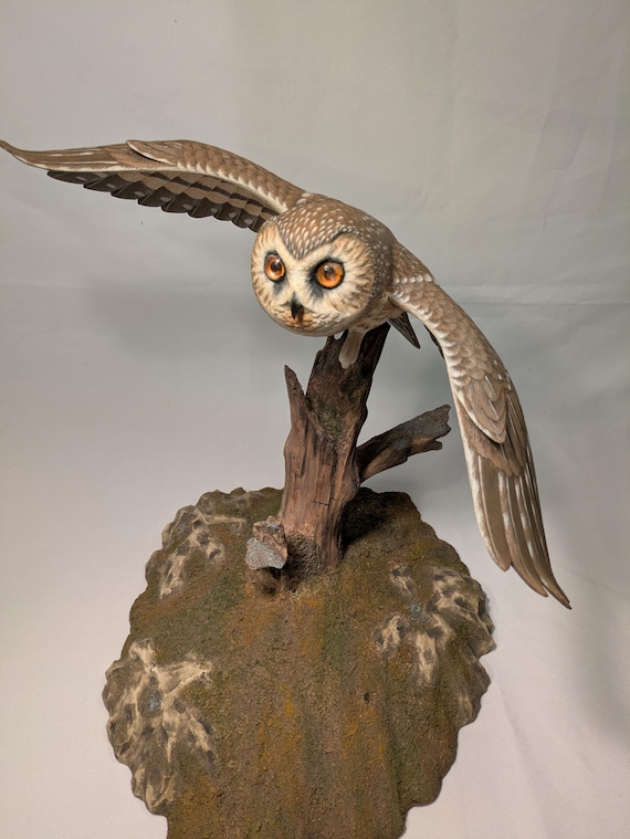 Life Sized Open-winged Saw-whet Owl #2