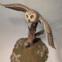 Life Sized Open-winged Saw-whet Owl #2