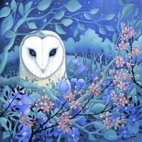 Barn Owl Canvas Artwork "Night of Serenity" by Amanda Clark - Wildlife, Fairy Tale