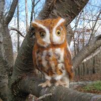 Mr. Eastern Screech Owl, needle felted bird fiber art sculpture