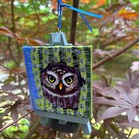 Elf Owl- A one-of-a-kind painting of this magnificent bird by Ashley Wolff