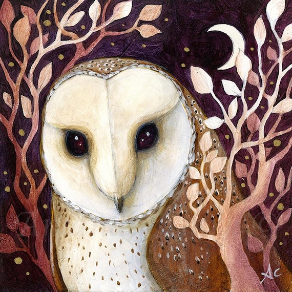 Barn Owl Art Print "The Wise" by Amanda Clark - Fairy Tale