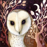Barn Owl Art Print "The Wise" by Amanda Clark - Fairy Tale