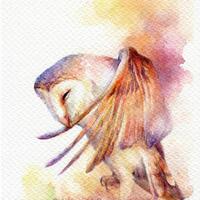 PRINT –Proud of owl Watercolor painting 7.5 x 11”