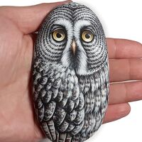 Great Grey Owl stone Painting with Acrylics and finished with ...