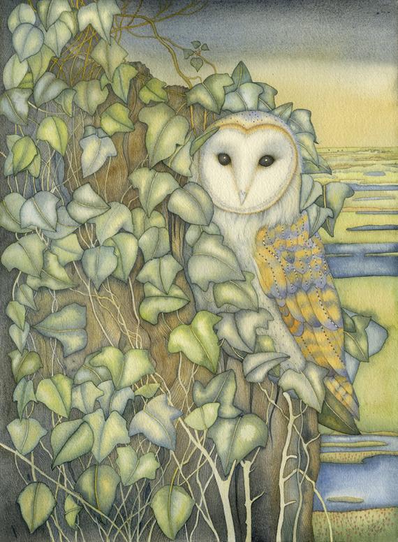 Fine art print of an original painting: 'Barn Owl at Stiffkey'