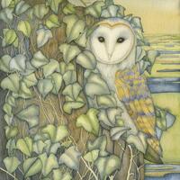 Fine art print of an original painting: 'Barn Owl at Stiff...